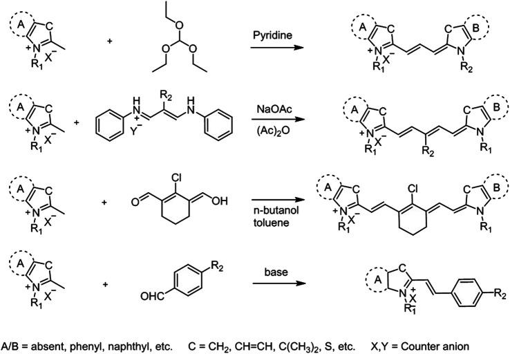 https://cdn.ncbi.nlm.nih.gov/pmc/blobs/fdc4/8263920/85a19426ae6f/fchem-09-707876-g002.jpg