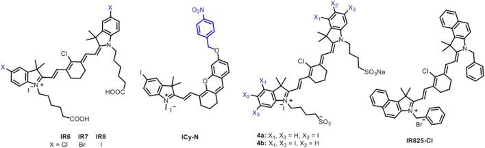 https://cdn.ncbi.nlm.nih.gov/pmc/blobs/fdc4/8263920/eedc065b2ca6/fchem-09-707876-g009.jpg