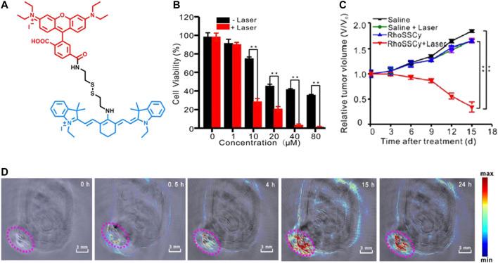 https://cdn.ncbi.nlm.nih.gov/pmc/blobs/fdc4/8263920/f85dc2dd0093/fchem-09-707876-g003.jpg