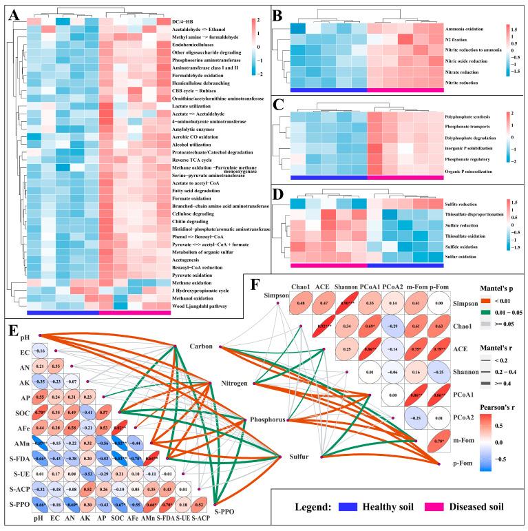 https://cdn.ncbi.nlm.nih.gov/pmc/blobs/fdc5/10537625/7b6b209d6f1b/microorganisms-11-02207-g006.jpg