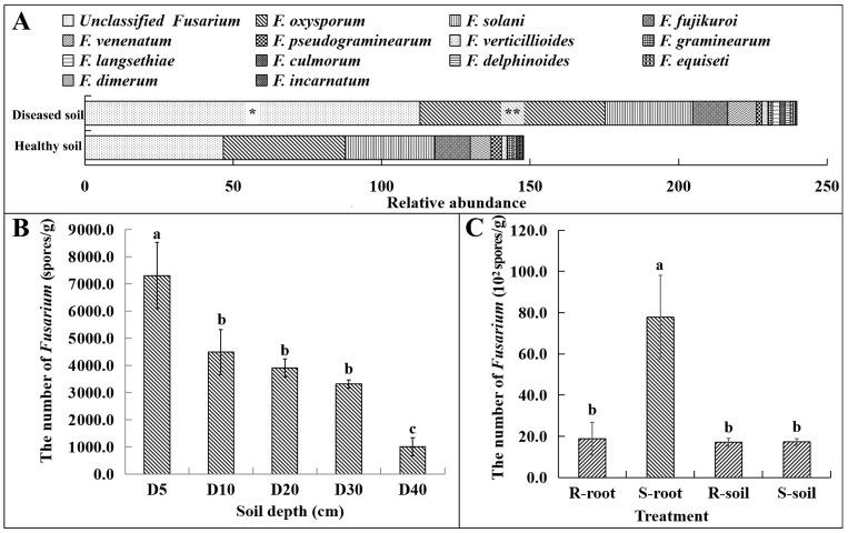https://cdn.ncbi.nlm.nih.gov/pmc/blobs/fdc5/10537625/f373add8097d/microorganisms-11-02207-g003.jpg