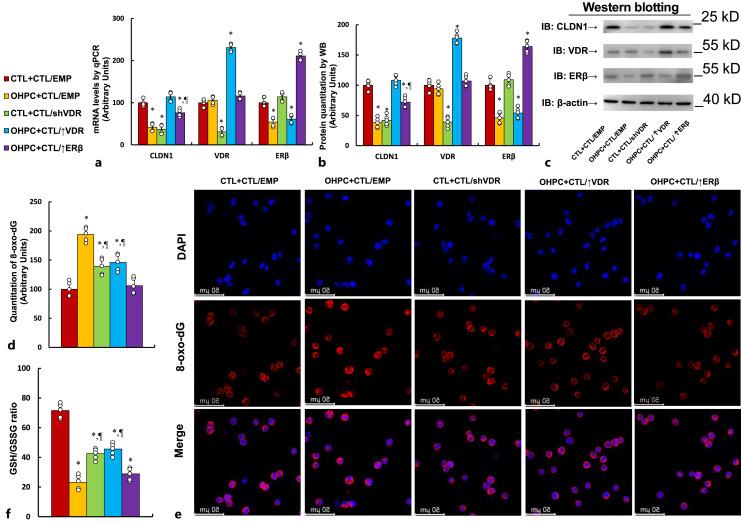 https://cdn.ncbi.nlm.nih.gov/pmc/blobs/fdc5/11232951/f2d3e2557fe7/nen-2024-0114-0007-538692_F03.jpg