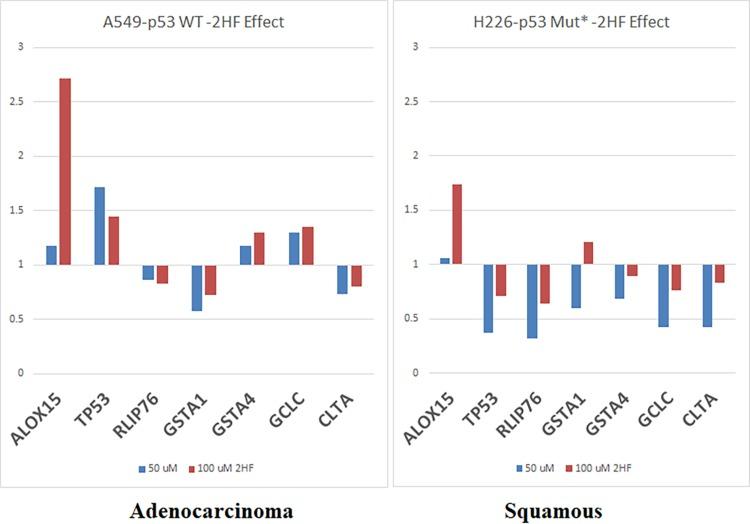 https://cdn.ncbi.nlm.nih.gov/pmc/blobs/fdc5/6281421/62ab5794ae88/oncotarget-09-36202-g006.jpg