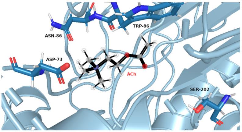 https://cdn.ncbi.nlm.nih.gov/pmc/blobs/fdc6/10819560/235b3a5fda62/molecules-29-00338-g007.jpg