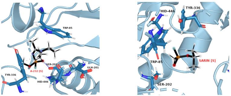 https://cdn.ncbi.nlm.nih.gov/pmc/blobs/fdc6/10819560/e62dbd528a4e/molecules-29-00338-g008.jpg