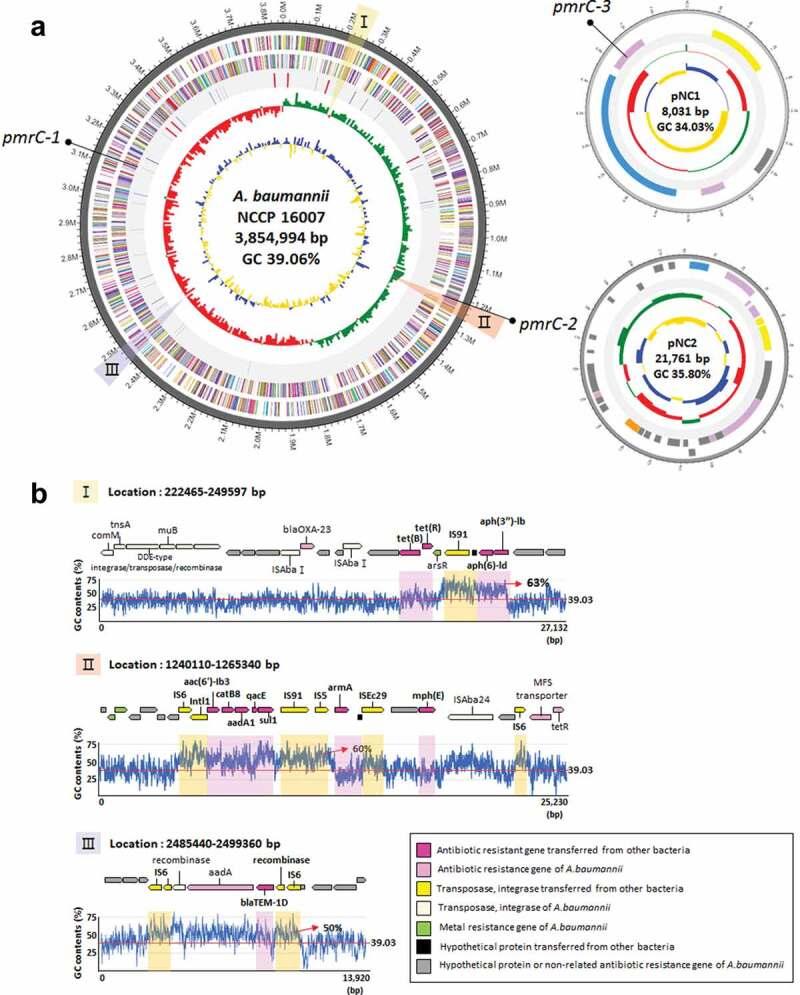 https://cdn.ncbi.nlm.nih.gov/pmc/blobs/fdc6/7781626/03b98dae046e/KVIR_A_1867421_F0002_OC.jpg
