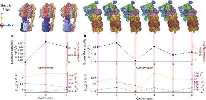 https://cdn.ncbi.nlm.nih.gov/pmc/blobs/fdc7/8821610/00d58f6d2cae/41598_2022_5586_Fig7_HTML.jpg