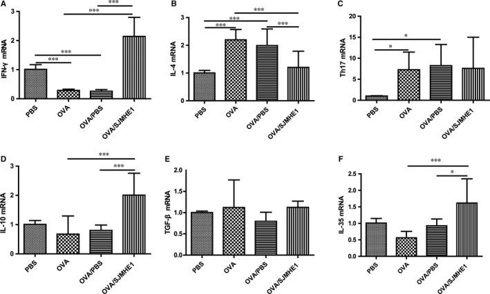 https://cdn.ncbi.nlm.nih.gov/pmc/blobs/fdca/6815837/523c0706d2df/JCMM-23-7819-g002.jpg