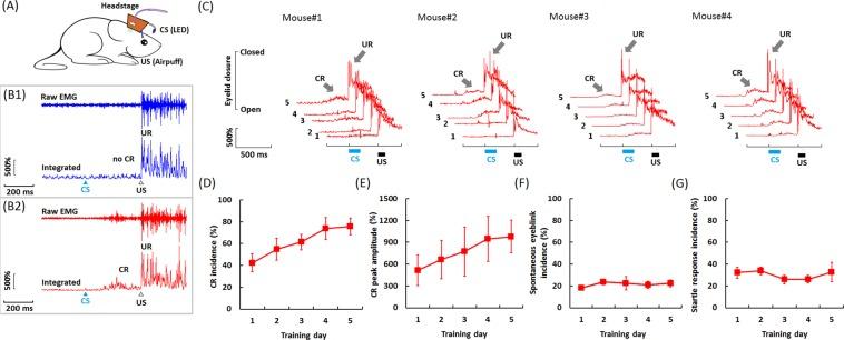 https://cdn.ncbi.nlm.nih.gov/pmc/blobs/fdcc/6372581/2e5b7fd2e3b5/41598_2018_37885_Fig3_HTML.jpg