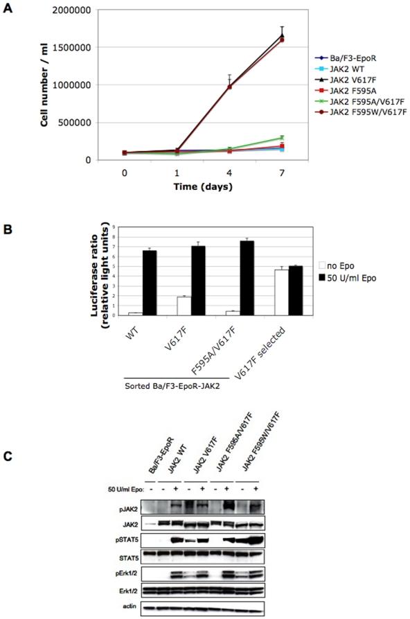 https://cdn.ncbi.nlm.nih.gov/pmc/blobs/fdce/2886835/44f489c9808c/pone.0011157.g003.jpg