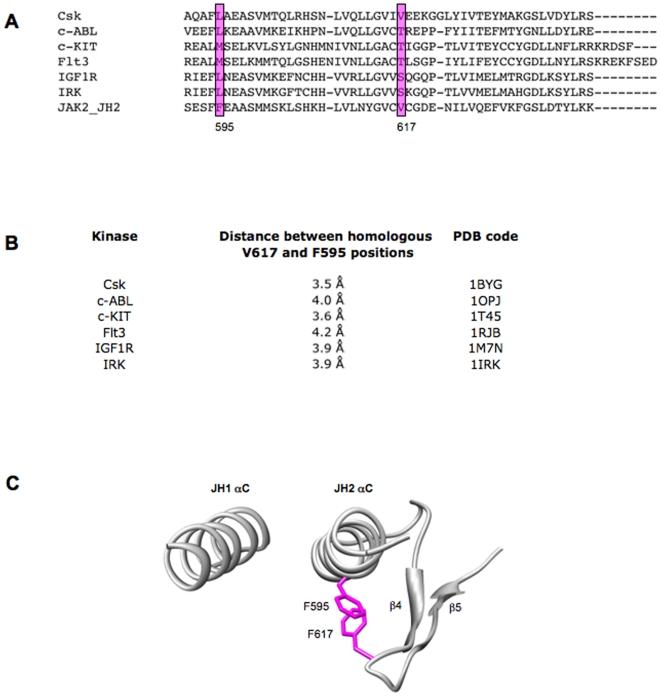 https://cdn.ncbi.nlm.nih.gov/pmc/blobs/fdce/2886835/7e95a0cd51ac/pone.0011157.g001.jpg