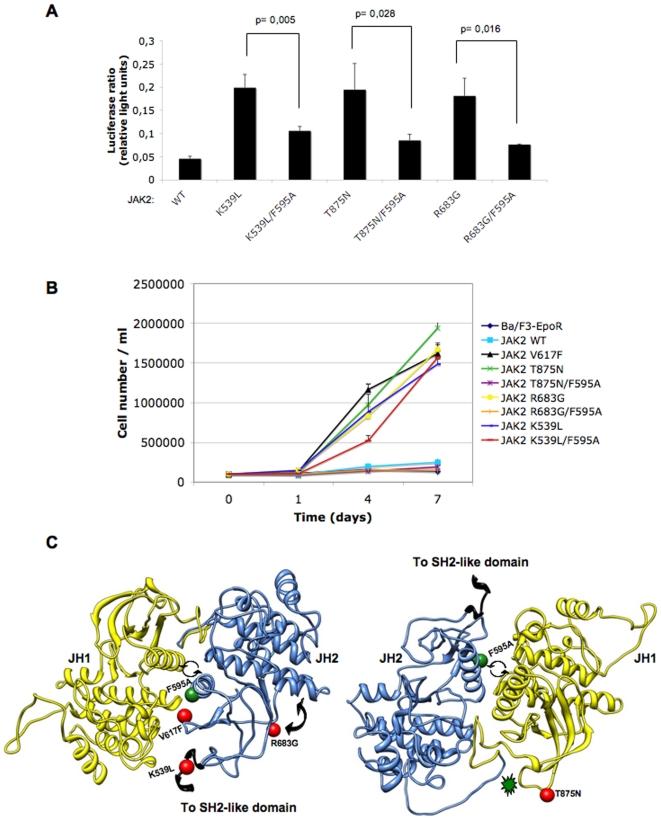 https://cdn.ncbi.nlm.nih.gov/pmc/blobs/fdce/2886835/d46016ad3538/pone.0011157.g004.jpg