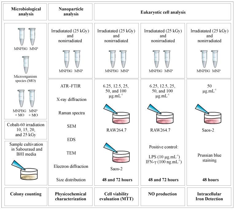 https://cdn.ncbi.nlm.nih.gov/pmc/blobs/fdd0/12389458/fb43d878ad2e/pharmaceutics-17-01048-g001.jpg