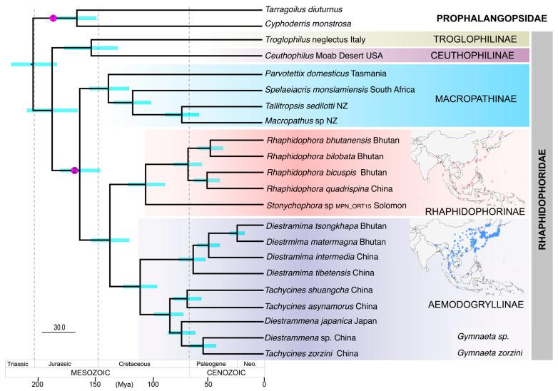 https://cdn.ncbi.nlm.nih.gov/pmc/blobs/fdd2/12294936/f3016a114b67/insects-16-00670-g003.jpg
