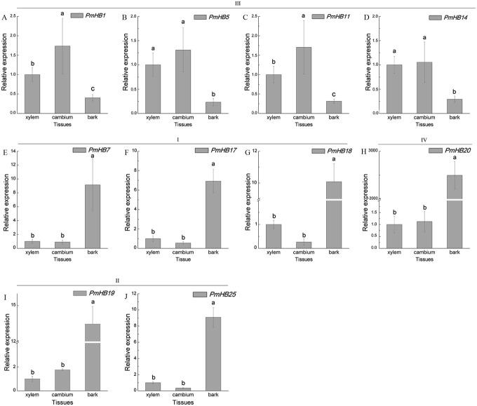 https://cdn.ncbi.nlm.nih.gov/pmc/blobs/fdd2/6689393/87ac55e42da7/peerj-07-7499-g008.jpg