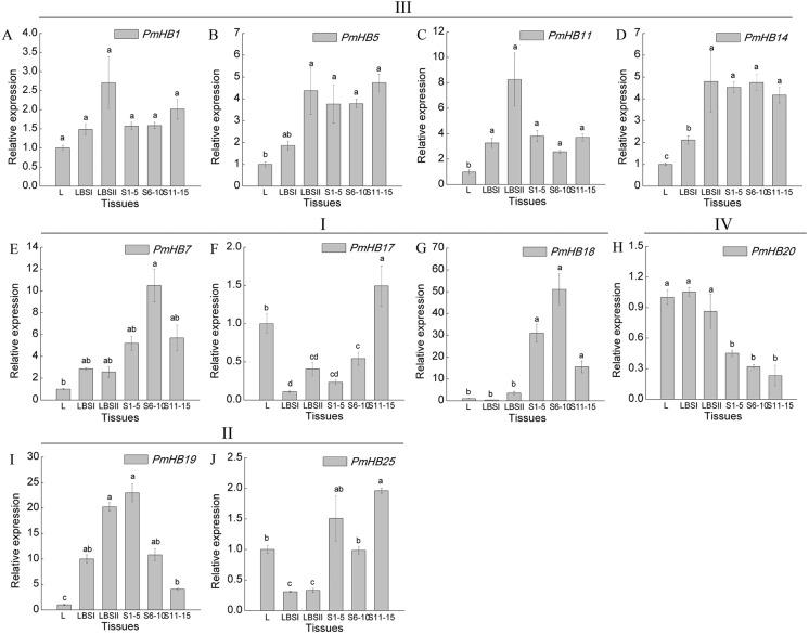 https://cdn.ncbi.nlm.nih.gov/pmc/blobs/fdd2/6689393/8abea4b33ec5/peerj-07-7499-g007.jpg