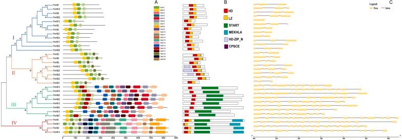 https://cdn.ncbi.nlm.nih.gov/pmc/blobs/fdd2/6689393/d165994e4004/peerj-07-7499-g003.jpg