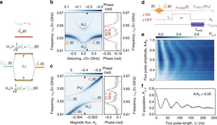https://cdn.ncbi.nlm.nih.gov/pmc/blobs/fdd3/6614454/7c37b81e81c0/41467_2019_10798_Fig3_HTML.jpg
