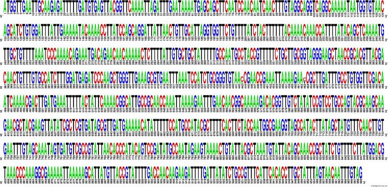 https://cdn.ncbi.nlm.nih.gov/pmc/blobs/fdd4/12045878/913285382749/IJPH-54-850-g001.jpg