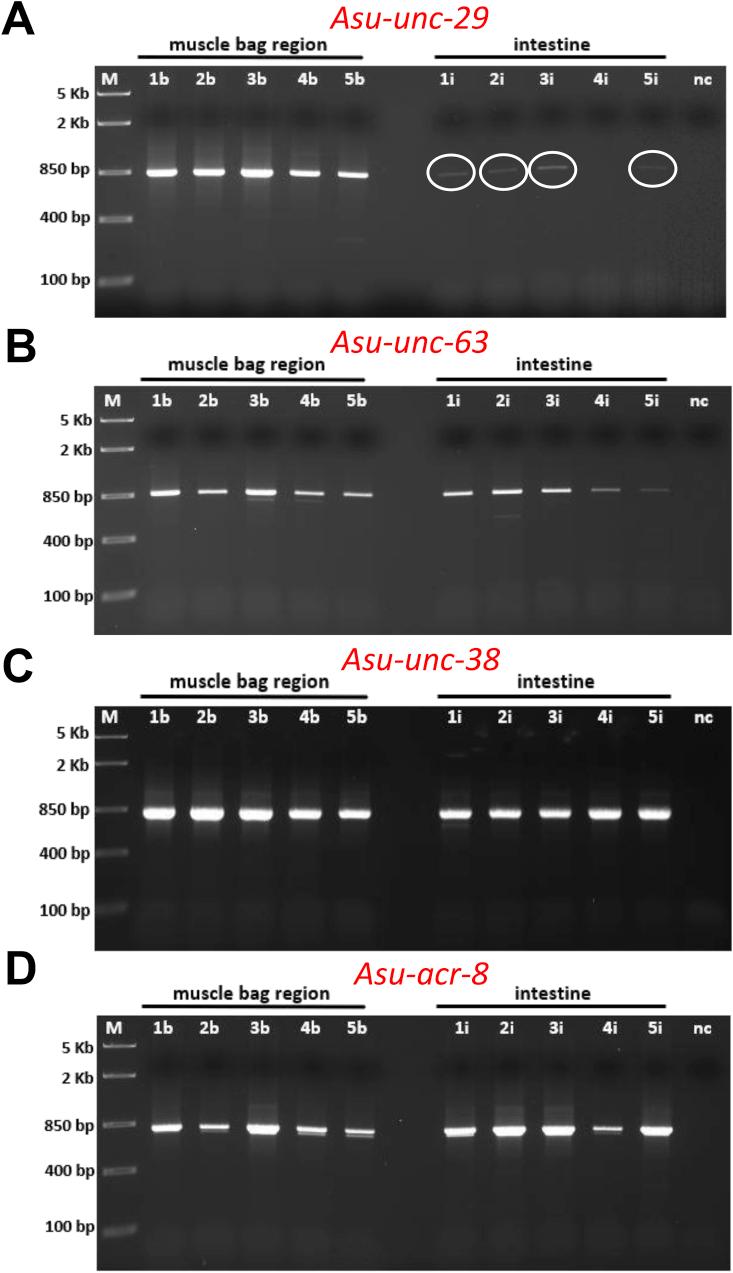 https://cdn.ncbi.nlm.nih.gov/pmc/blobs/fdd4/7256660/9a6e0da82c18/gr2.jpg
