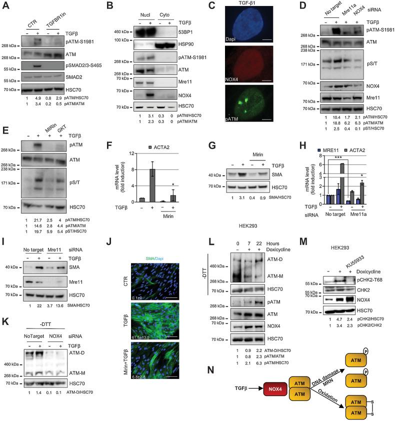 https://cdn.ncbi.nlm.nih.gov/pmc/blobs/fdd4/9755965/1c10845c6839/4571fig4.jpg