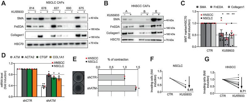 https://cdn.ncbi.nlm.nih.gov/pmc/blobs/fdd4/9755965/364dfae361a0/4571fig3.jpg