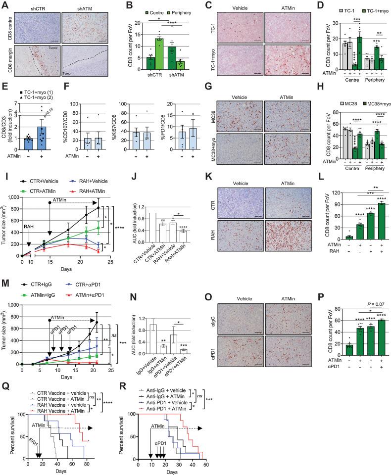 https://cdn.ncbi.nlm.nih.gov/pmc/blobs/fdd4/9755965/d7786807b3d0/4571fig6.jpg