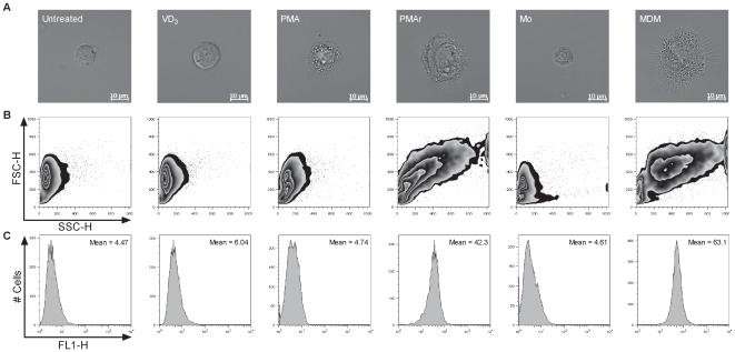 https://cdn.ncbi.nlm.nih.gov/pmc/blobs/fdd5/2800192/135dce7c6606/pone.0008668.g001.jpg