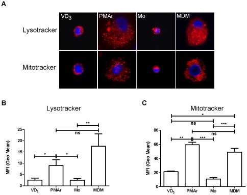 https://cdn.ncbi.nlm.nih.gov/pmc/blobs/fdd5/2800192/1b9aeb5a4d02/pone.0008668.g002.jpg