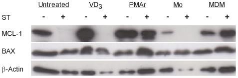 https://cdn.ncbi.nlm.nih.gov/pmc/blobs/fdd5/2800192/223394ddf970/pone.0008668.g005.jpg