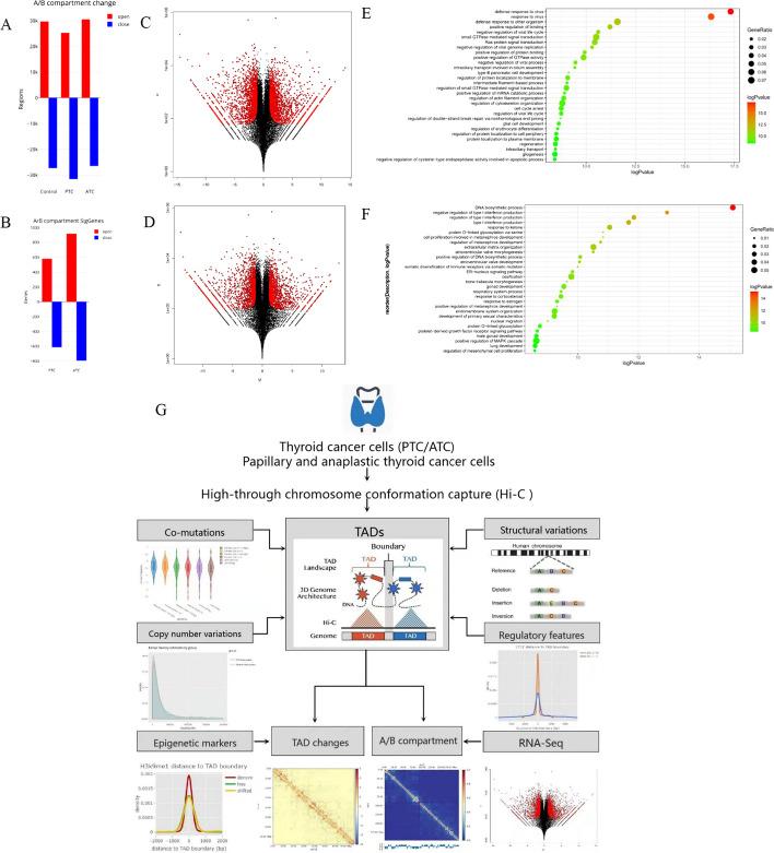 https://cdn.ncbi.nlm.nih.gov/pmc/blobs/fdd6/9825046/2f9f57c375f2/11658_2022_409_Fig8_HTML.jpg