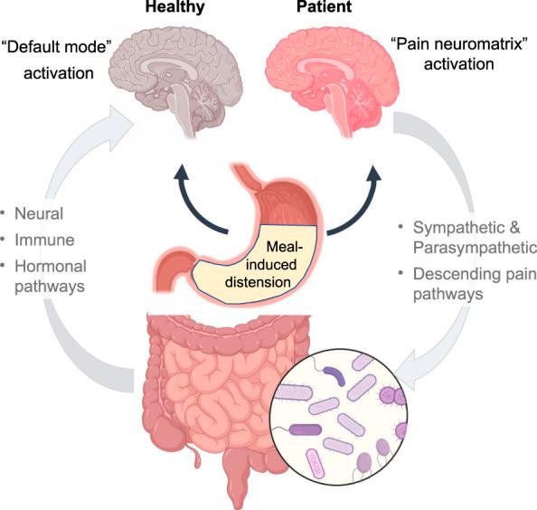 https://cdn.ncbi.nlm.nih.gov/pmc/blobs/fdd7/9169752/cda7e978a86c/acg-117-937-g004.jpg