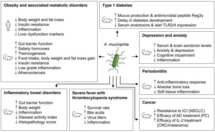 https://cdn.ncbi.nlm.nih.gov/pmc/blobs/fdd9/10688800/ed9f445cab0c/mrr-2-1-6.fig.1.jpg