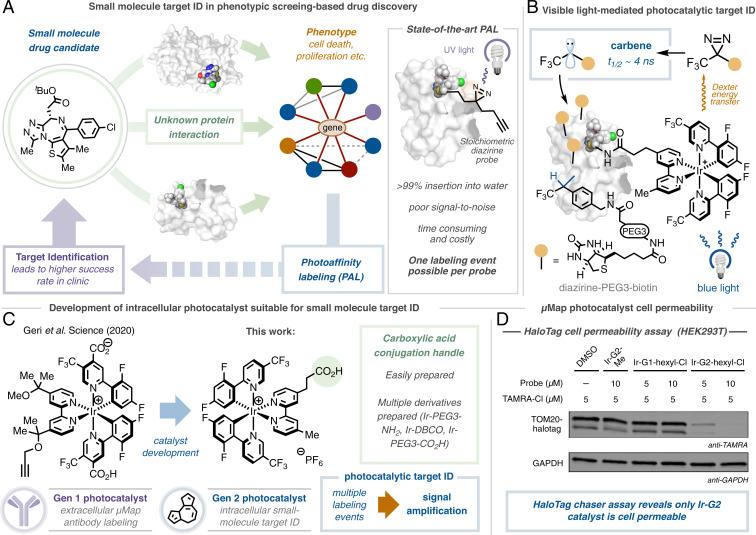 https://cdn.ncbi.nlm.nih.gov/pmc/blobs/fdd9/9407219/0702d13806b2/pnas.2208077119fig01.jpg
