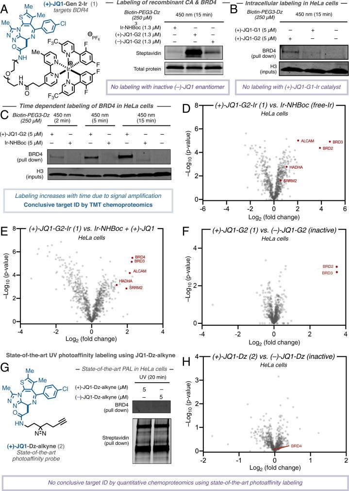 https://cdn.ncbi.nlm.nih.gov/pmc/blobs/fdd9/9407219/30ab0d1e53a0/pnas.2208077119fig02.jpg