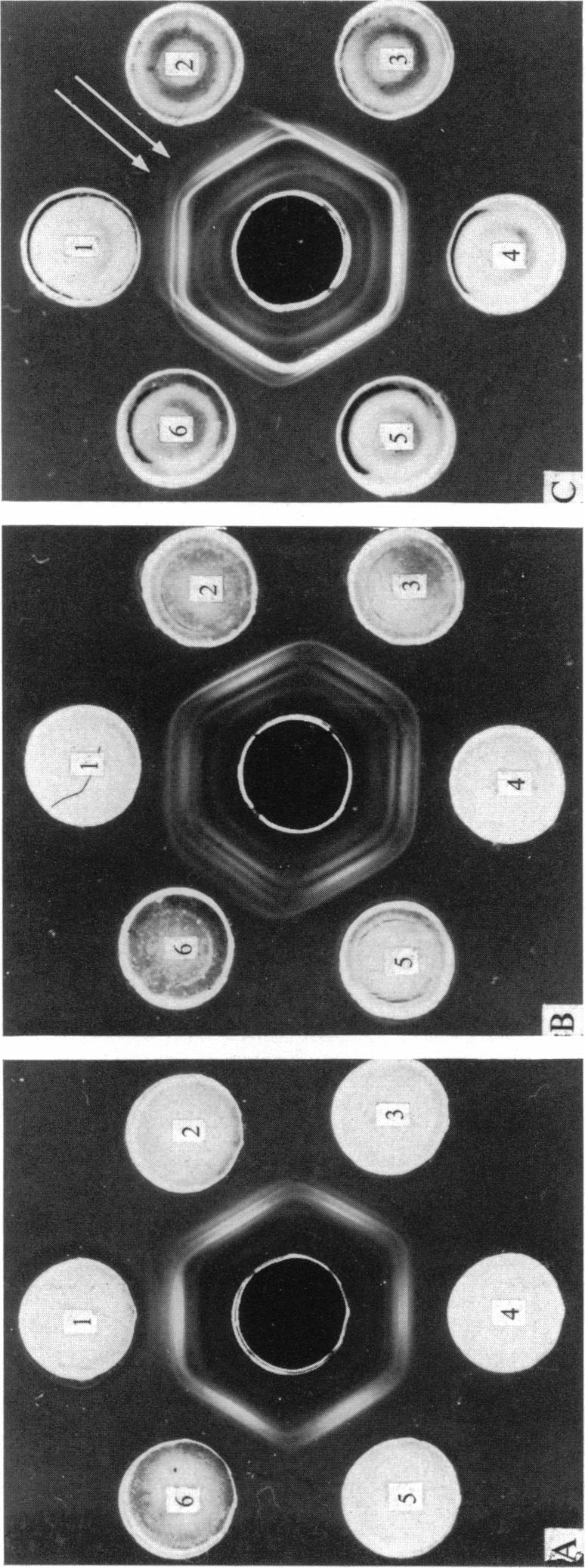 https://cdn.ncbi.nlm.nih.gov/pmc/blobs/fdda/2130589/2be4207182f1/jhyg00072-0110-a.jpg