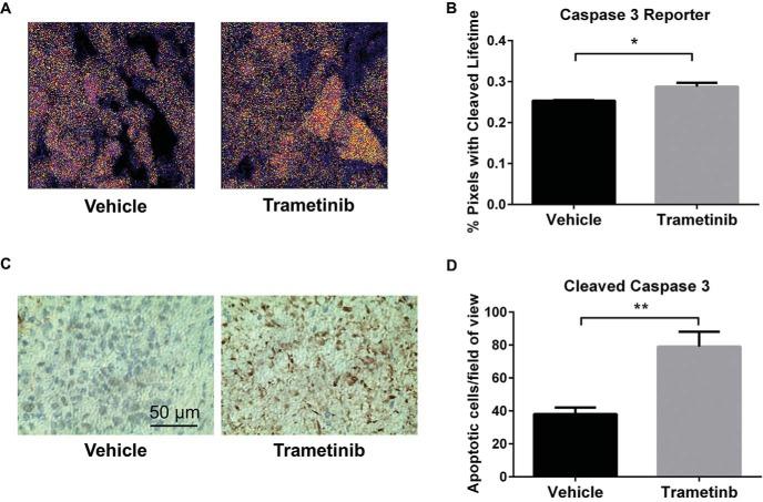 https://cdn.ncbi.nlm.nih.gov/pmc/blobs/fddd/6030707/21e2fb3f7164/tom0021500150006.jpg
