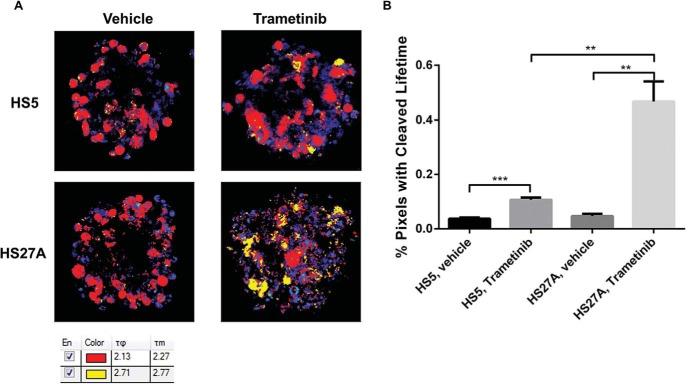 https://cdn.ncbi.nlm.nih.gov/pmc/blobs/fddd/6030707/4dd65fa86a70/tom0021500150005.jpg