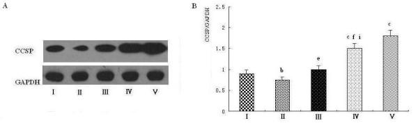 https://cdn.ncbi.nlm.nih.gov/pmc/blobs/fddf/3199855/50976cd5ef0e/1471-2121-12-31-7.jpg