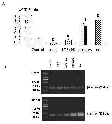 https://cdn.ncbi.nlm.nih.gov/pmc/blobs/fddf/3199855/89a280b090b0/1471-2121-12-31-11.jpg