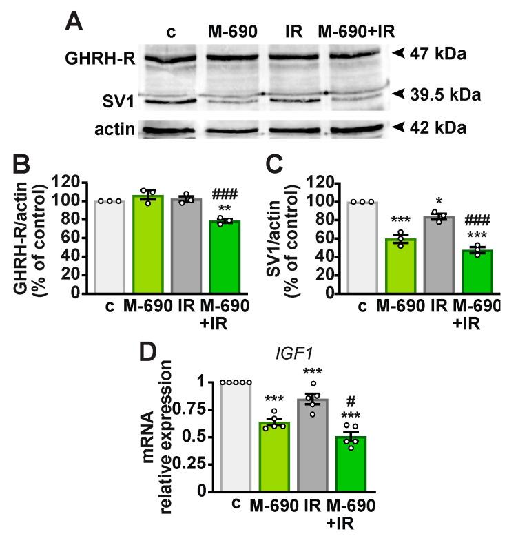 https://cdn.ncbi.nlm.nih.gov/pmc/blobs/fde4/11990011/1d099a0e5878/ijms-26-03267-g003.jpg