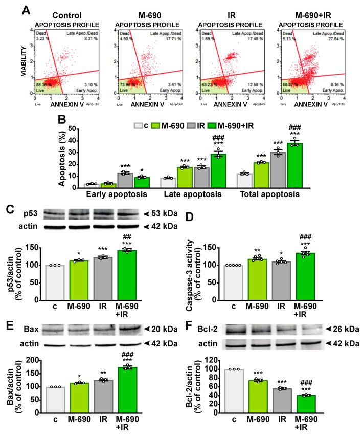 https://cdn.ncbi.nlm.nih.gov/pmc/blobs/fde4/11990011/65945bfdc1ff/ijms-26-03267-g005.jpg