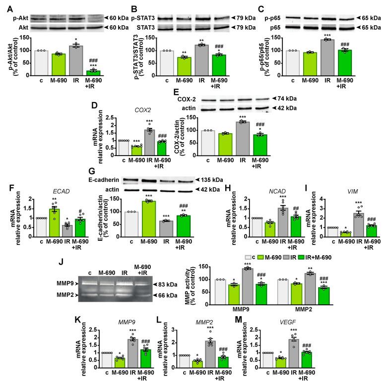 https://cdn.ncbi.nlm.nih.gov/pmc/blobs/fde4/11990011/e77704551811/ijms-26-03267-g006.jpg