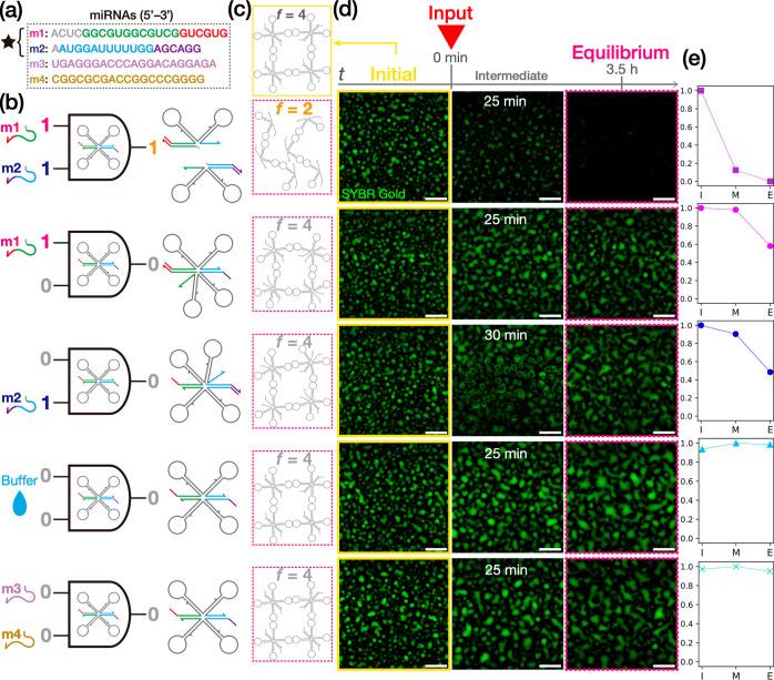 https://cdn.ncbi.nlm.nih.gov/pmc/blobs/fde5/11191694/8ba742c735fe/nn3c12161_0005.jpg