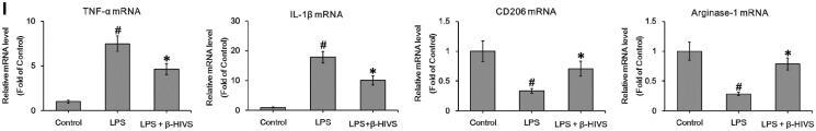 https://cdn.ncbi.nlm.nih.gov/pmc/blobs/fde6/8973340/d2f9a4b94ddd/IPHB_A_2046111_F0001c_B.jpg