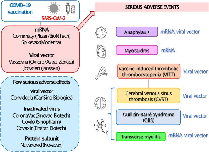 https://cdn.ncbi.nlm.nih.gov/pmc/blobs/fde7/11167235/a2a2ca42059a/PRP2-12-e1224-g002.jpg