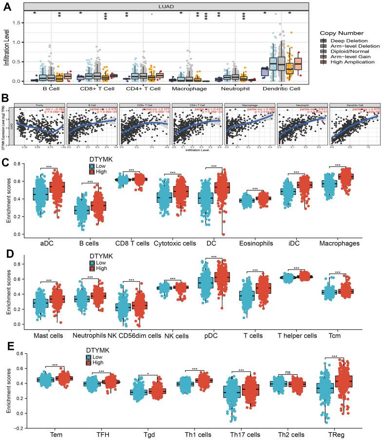 https://cdn.ncbi.nlm.nih.gov/pmc/blobs/fde7/9596207/3d5451509d21/aging-14-204308-g008.jpg