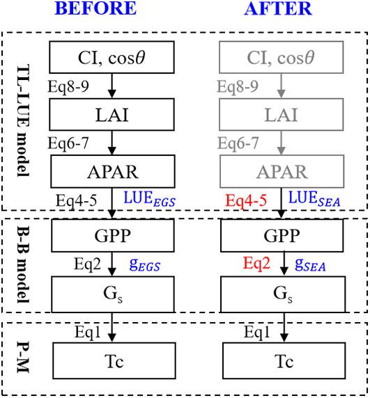 https://cdn.ncbi.nlm.nih.gov/pmc/blobs/fde8/10200961/244b44597e1d/fpls-14-1164078-g002.jpg