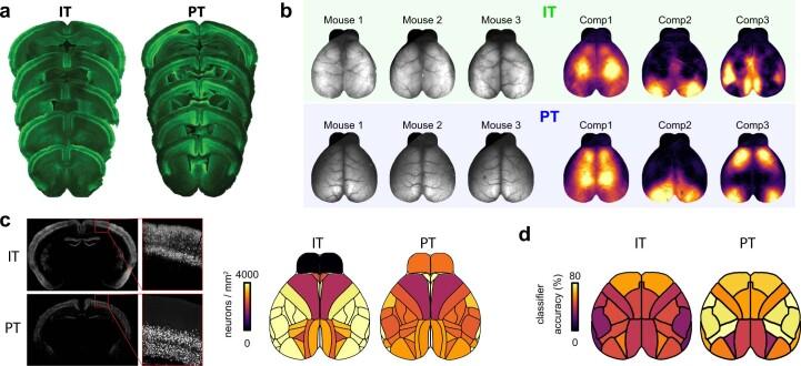 https://cdn.ncbi.nlm.nih.gov/pmc/blobs/fdea/9991922/5393774cc9b9/41593_2022_1245_Fig10_ESM.jpg