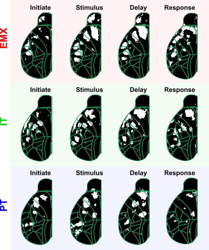 https://cdn.ncbi.nlm.nih.gov/pmc/blobs/fdea/9991922/bd12b0aad752/41593_2022_1245_Fig14_ESM.jpg